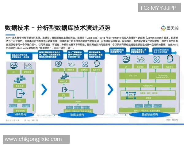 武汉极限运动队技术表现分析与数据解读探讨实时数据